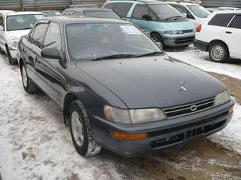 1992 Toyota Corolla