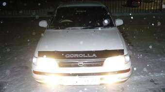 Corolla