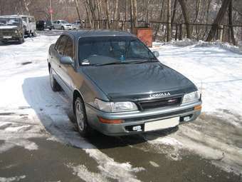 1992 Toyota Corolla