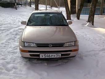 1992 Toyota Corolla