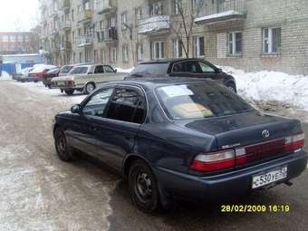 1992 Corolla