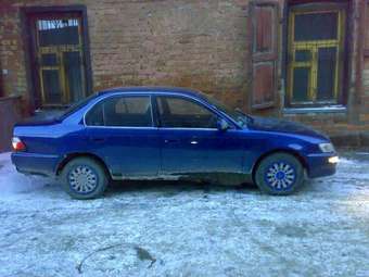 Corolla