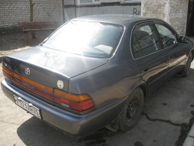 1992 Toyota Corolla