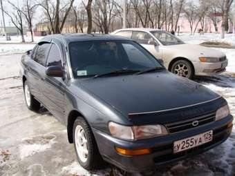 1992 Toyota Corolla