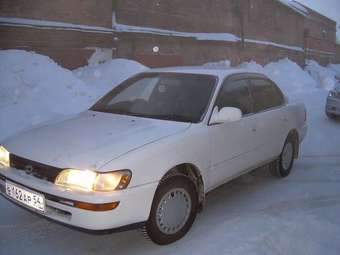 Corolla