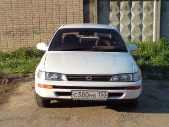 Corolla