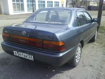 Toyota Corolla