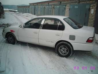 1992 Toyota Corolla