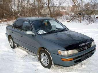 1992 Toyota Corolla