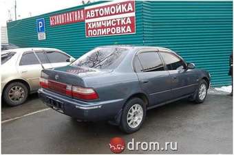 Corolla