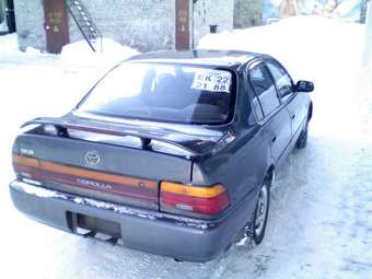 Corolla