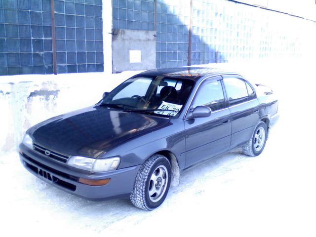 1992 Toyota Corolla