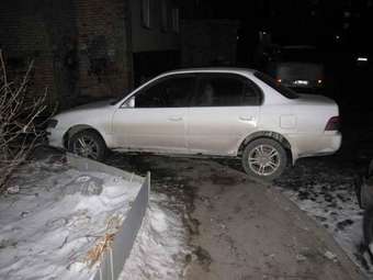 Corolla