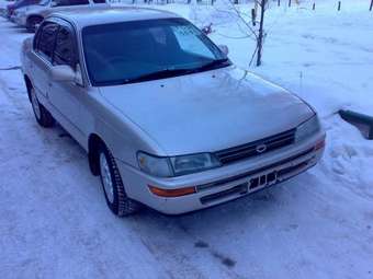 Corolla