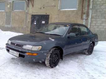 1992 Corolla