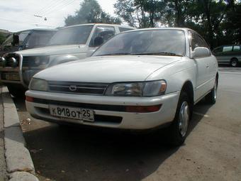 1992 Toyota Corolla