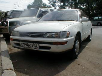 1992 Toyota Corolla