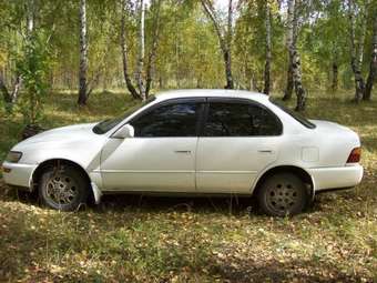 1992 Toyota Corolla Pictures