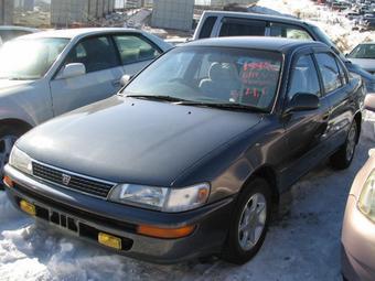 1993 Toyota Corolla