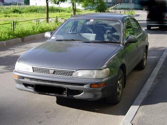 1993 Toyota Corolla