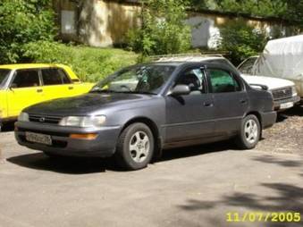 Corolla
