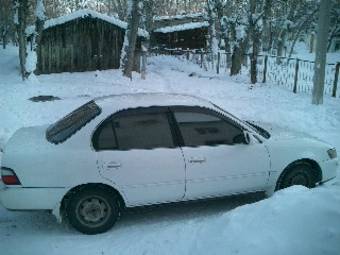 1993 Toyota Corolla