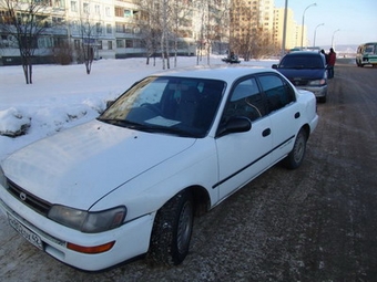 1993 Toyota Corolla