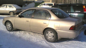 Corolla