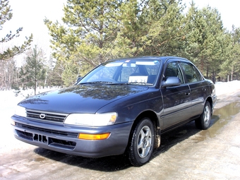 1993 Corolla