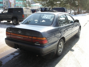 Toyota Corolla