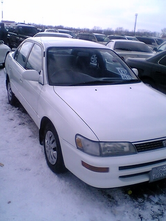 1993 Toyota Corolla