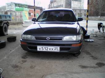Corolla