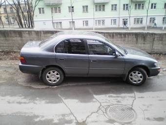 1993 Corolla