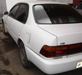 Corolla