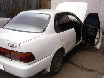 1993 Corolla