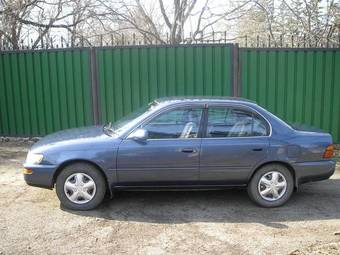 1993 Toyota Corolla