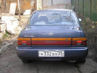 Corolla