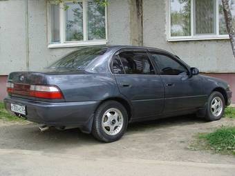 1993 Toyota Corolla