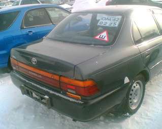Corolla
