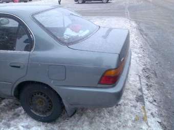Corolla