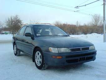 1993 Corolla