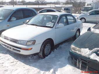 1993 Corolla