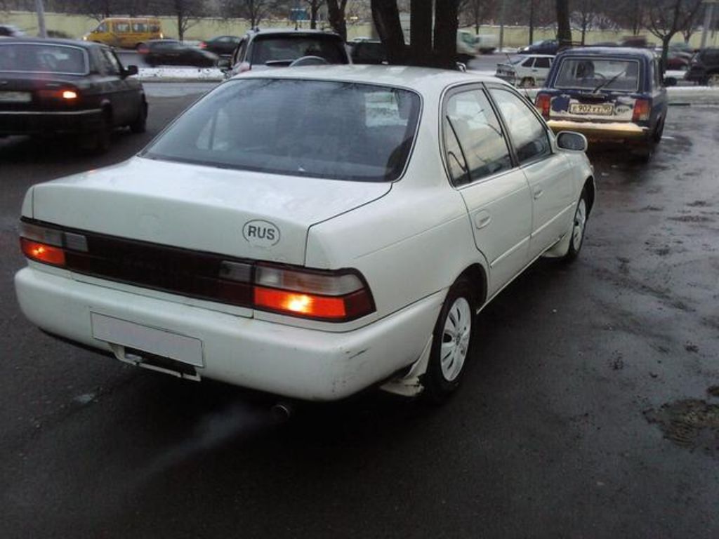 1993 Toyota Corolla