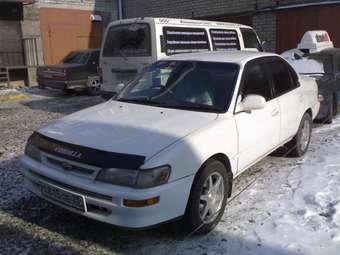 Corolla