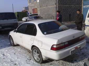 1993 Corolla
