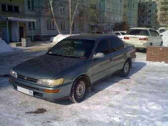 Corolla