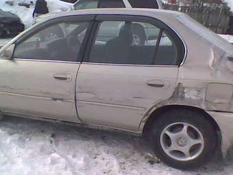 1993 Corolla