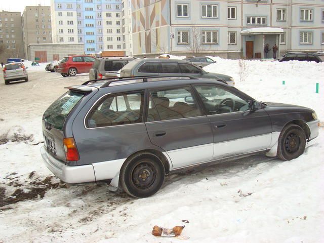 1993 Toyota Corolla