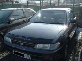 1993 Toyota Corolla