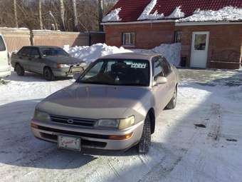 1993 Toyota Corolla